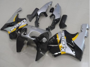 Silver and Black 1996-2002 Kawasaki Ninja ZX7R Fairings