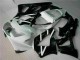 White 2000-2001 Honda CBR900RR 929RR Fairings